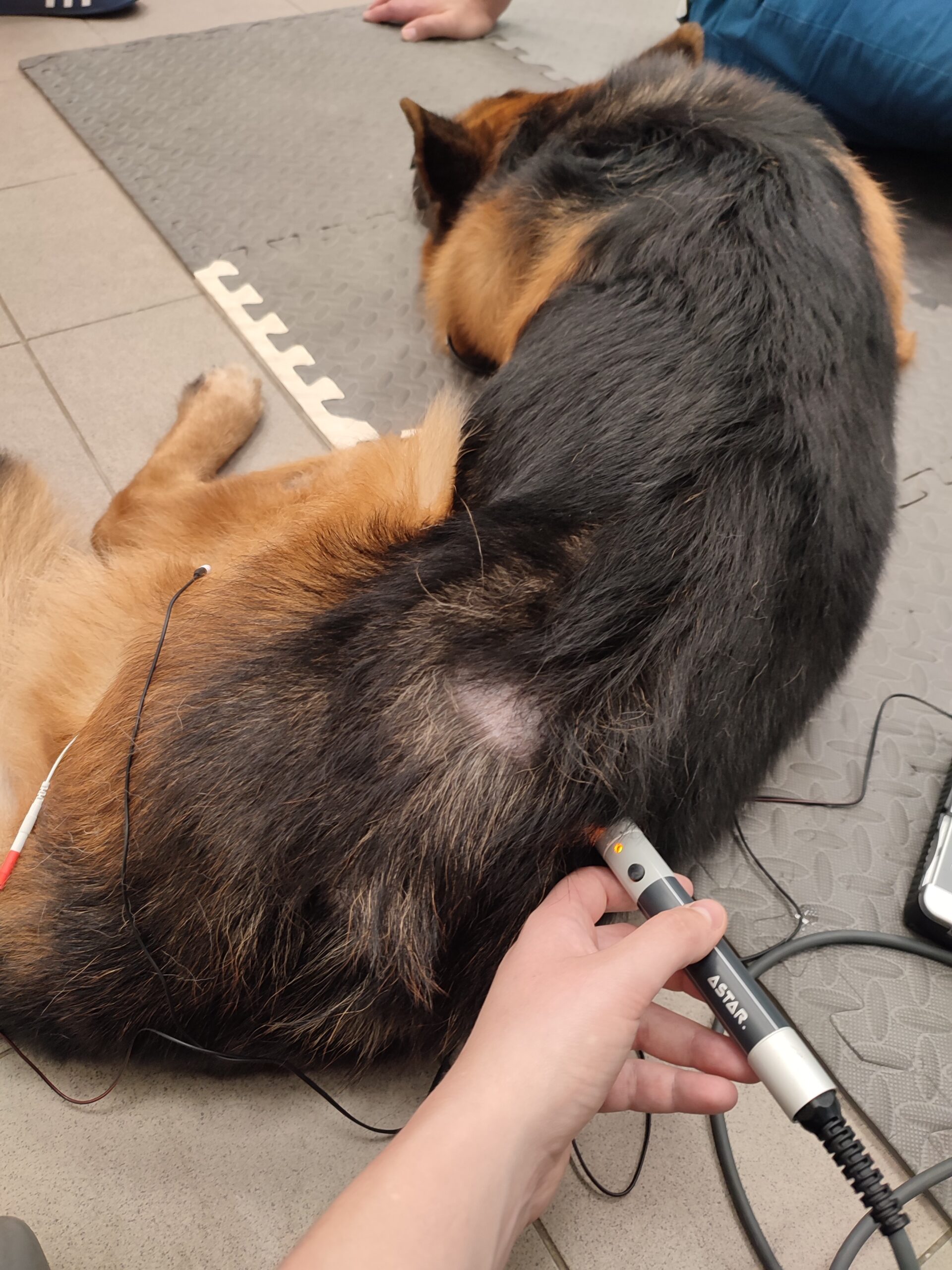 neurorehabilitacja (2)