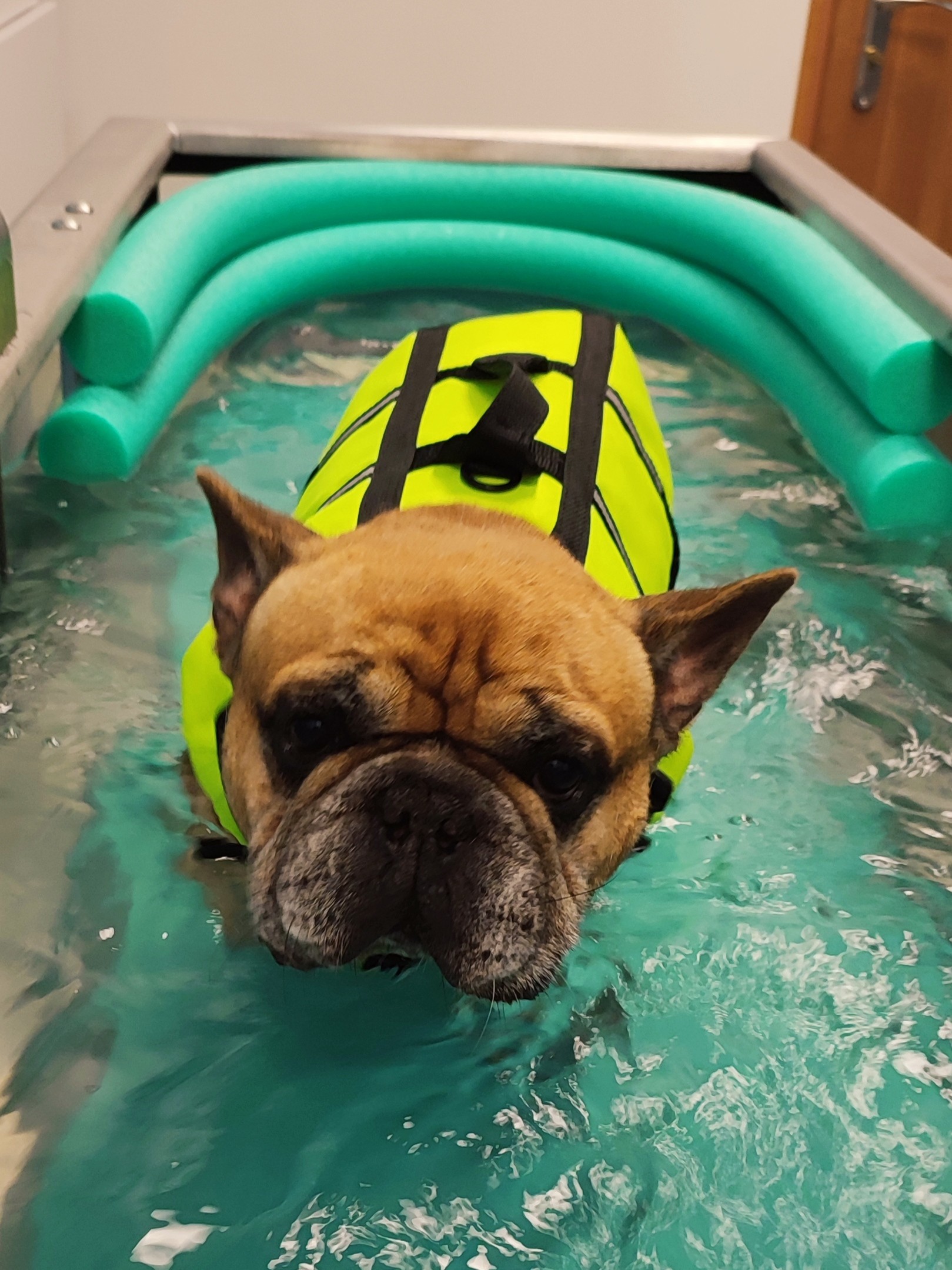 neurorehabilitacja (3)