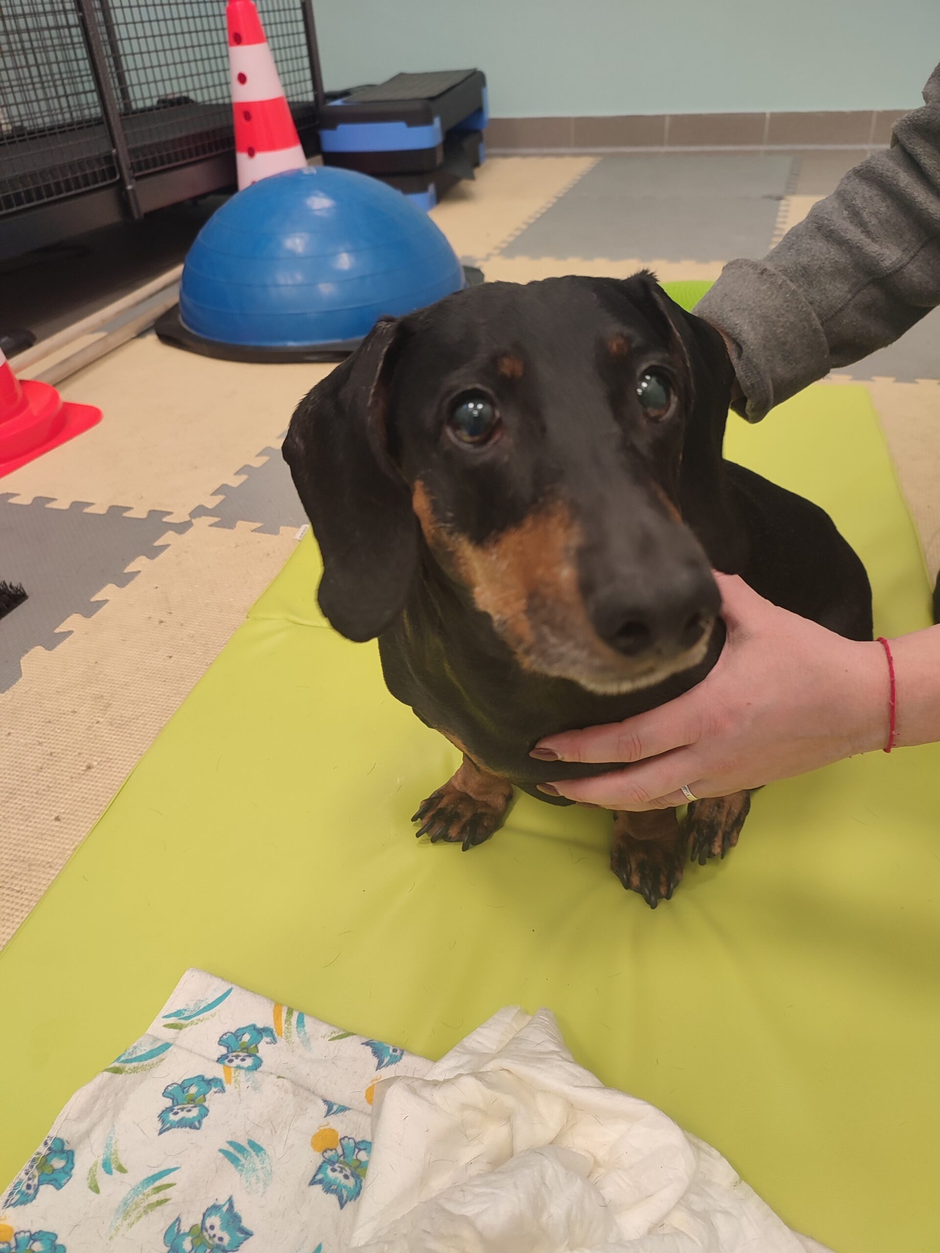 neurorehabilitacja